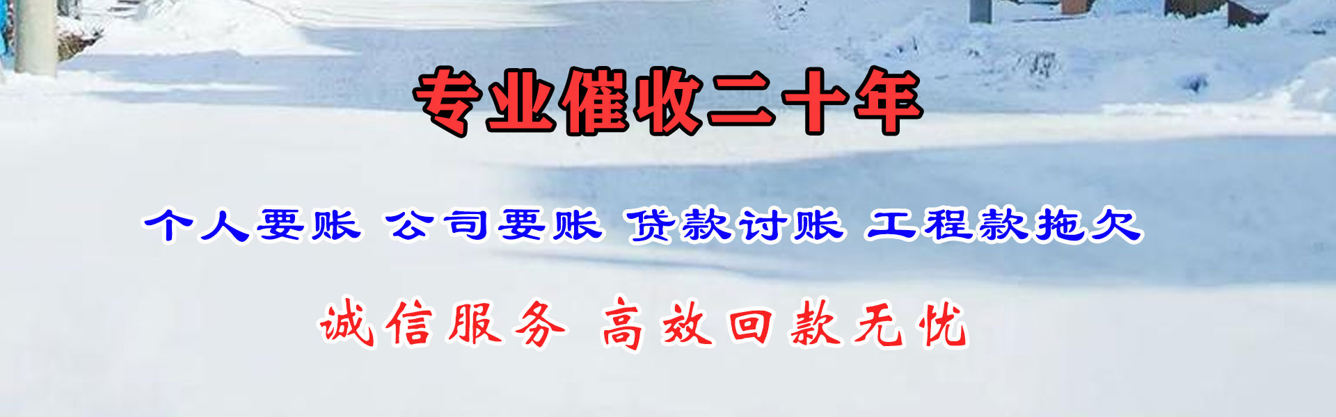 阜南清账公司